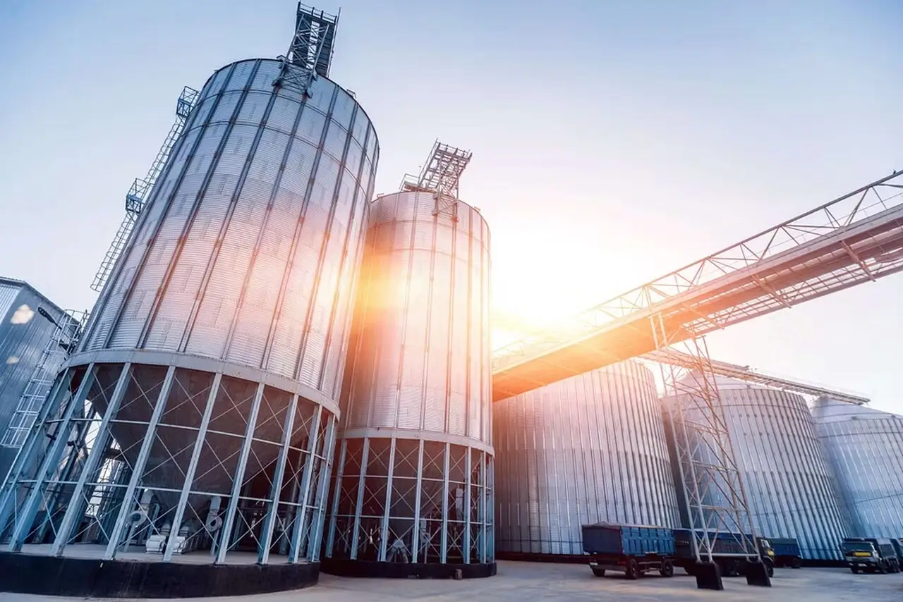 Imagem do portfólio